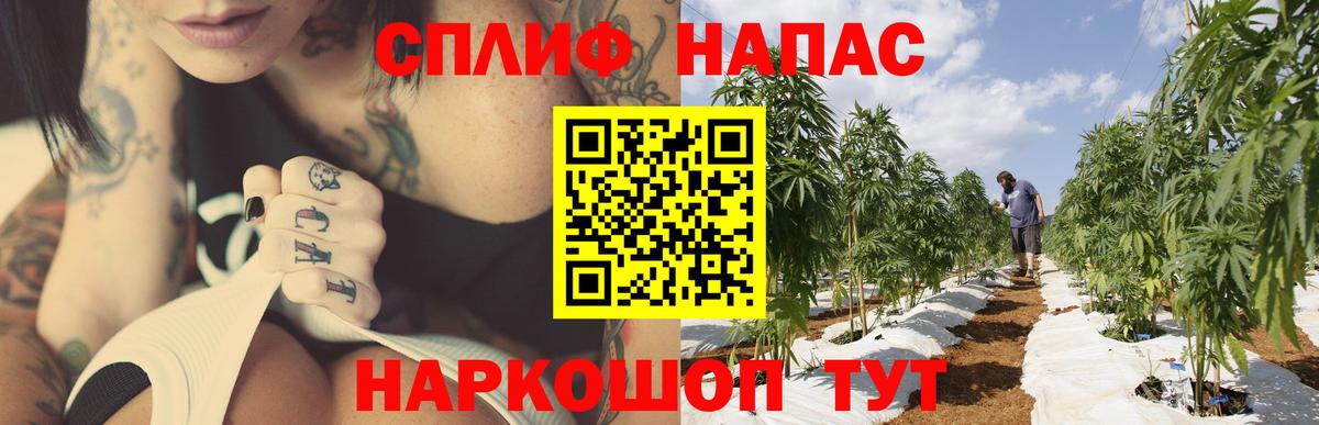 Каннабис MAZAR  Вход с VPN  Шишки марихуана план  Ногинск 